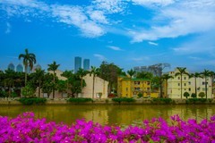 广州珠江两岸风景 12