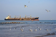 2026年第0146贴-威海布鲁维斯号纪实旅拍（0225）