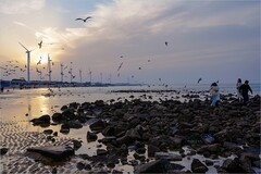 2026年第0146贴-威海布鲁维斯号纪实旅拍（0225）