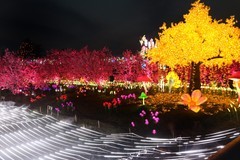 成都非遗千灯会