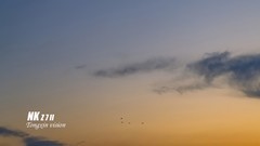 居延海日出（1）