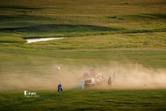 牧人迁徙（37）