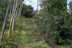 新春大足和平村（2）