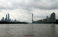 滨江路的景色.