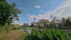 圭塘河【大疆远动相机拍】8