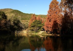 植物园樱桃沟雾化喷泉之一