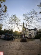 2025.4.21外出吸新鲜空气（9）