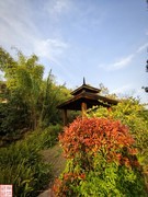 2025.4.21外出吸新鲜空气（9）