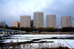 今冬的第一场雪——江滨公园（3）