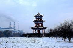 今冬的第一场雪——江滨公园（3）