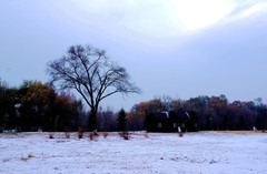 今冬的第一场雪——江滨公园（3）