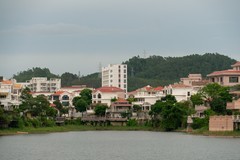 杂拍