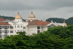 杂拍