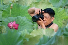 荷塘人像-《摄荷》
