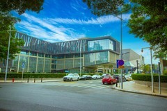 广州珠江两岸风景 13