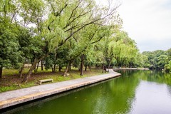 外出随拍（548）.