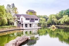 外出随拍（547）.