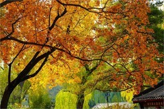 2025年第0825贴-紫竹院公园纪实旅拍（1127）