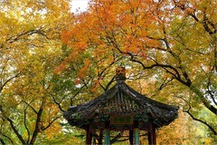 2025年第0827贴-地坛公园纪实旅拍（1127）