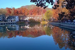 杭州临安区红叶村游随拍