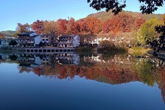 杭州临安区红叶村游随拍