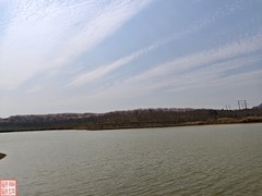 2025.3.23安顺万亩樱花拍（11）