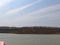 2025.3.23安顺万亩樱花拍（11）