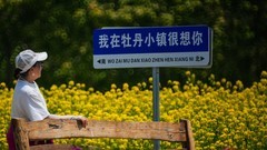 牡 丹 花 开 贵 人 来