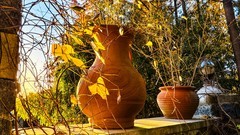 迎 宾 路 边 小 景 （ 三 ）