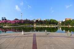 2026小城的春（玖）