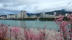 奥林巴斯SP-100EE杂拍