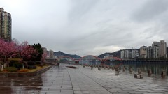 奥林巴斯SP-100EE杂拍