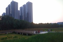 夏日傍晚随拍2