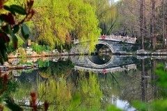 【视觉光影】随 拍 （10） 恭祝好友明月清风荣任尼康D5100版版主！！！