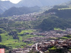 甘南行---扎尕拉（12）