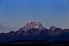 新都桥.鱼子西【7】