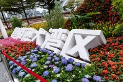 十五运的园博会（7）