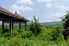 乡村小景3