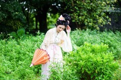 【芳野寻踪】---半鹿