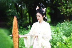 【芳野寻踪】---半鹿