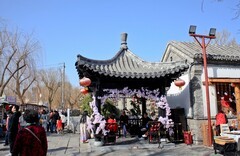 扫街片——明湖百花洲