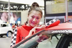 巧笑倩兮 (66)