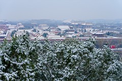 2026年第0593贴 -景山公园风光纪实（0829）
