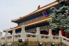 2026年第0594贴 -景山公园风光纪实（0829）