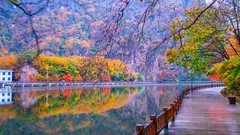 本 溪 关 门 山 秋 色 （ 八 ）