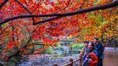 本 溪 关 门 山 秋 色 （ 八 ）