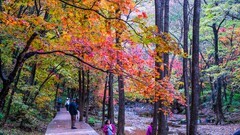 本 溪 关 门 山 秋 色 （ 八 ）