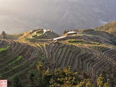 2025.3.19桂林龙脊平安梯田（8）