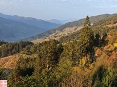 2025.3.19桂林龙脊平安梯田（8）