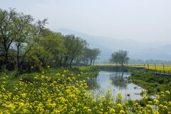 现代新农村的春天